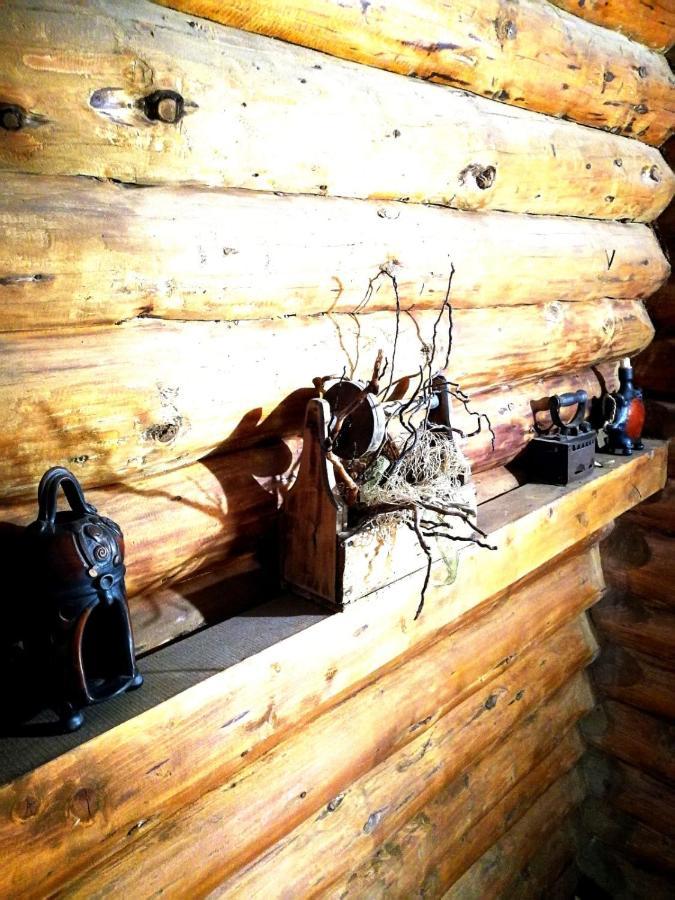 Cabana Rustic Balea Cîrţişoara 外观 照片