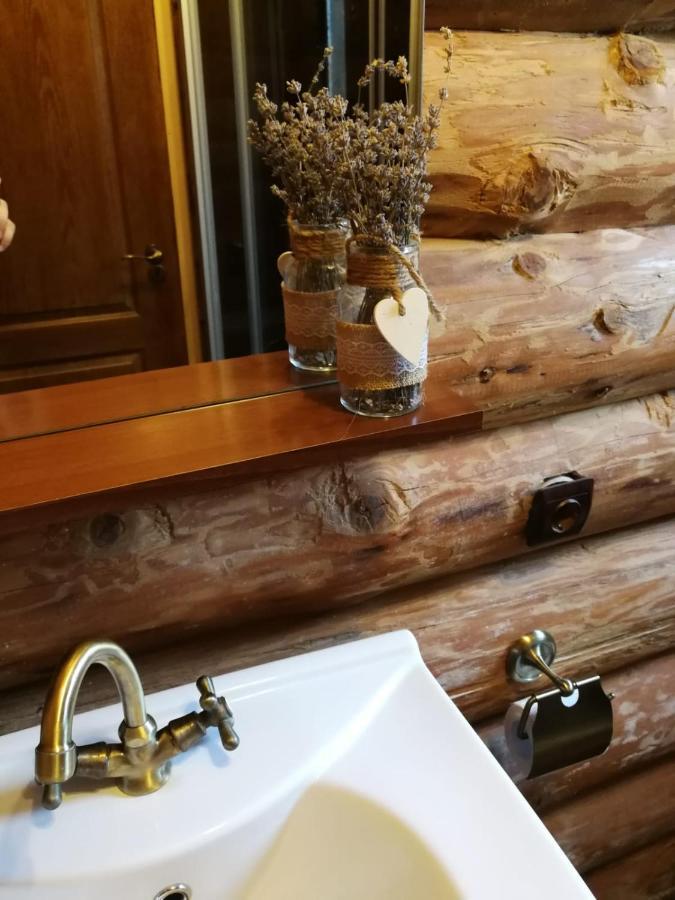 Cabana Rustic Balea Cîrţişoara 外观 照片