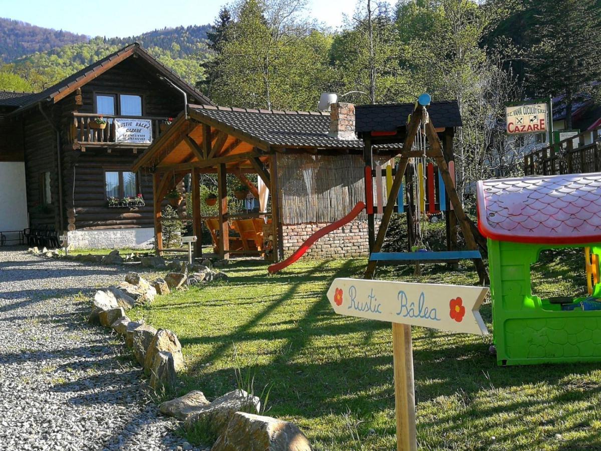Cabana Rustic Balea Cîrţişoara 外观 照片