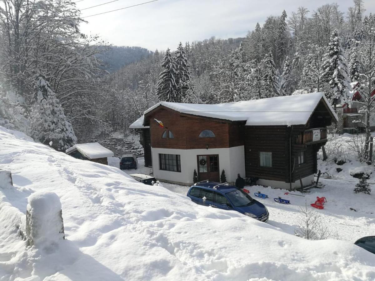 Cabana Rustic Balea Cîrţişoara 外观 照片