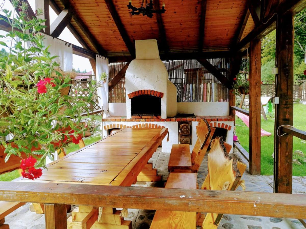Cabana Rustic Balea Cîrţişoara 外观 照片