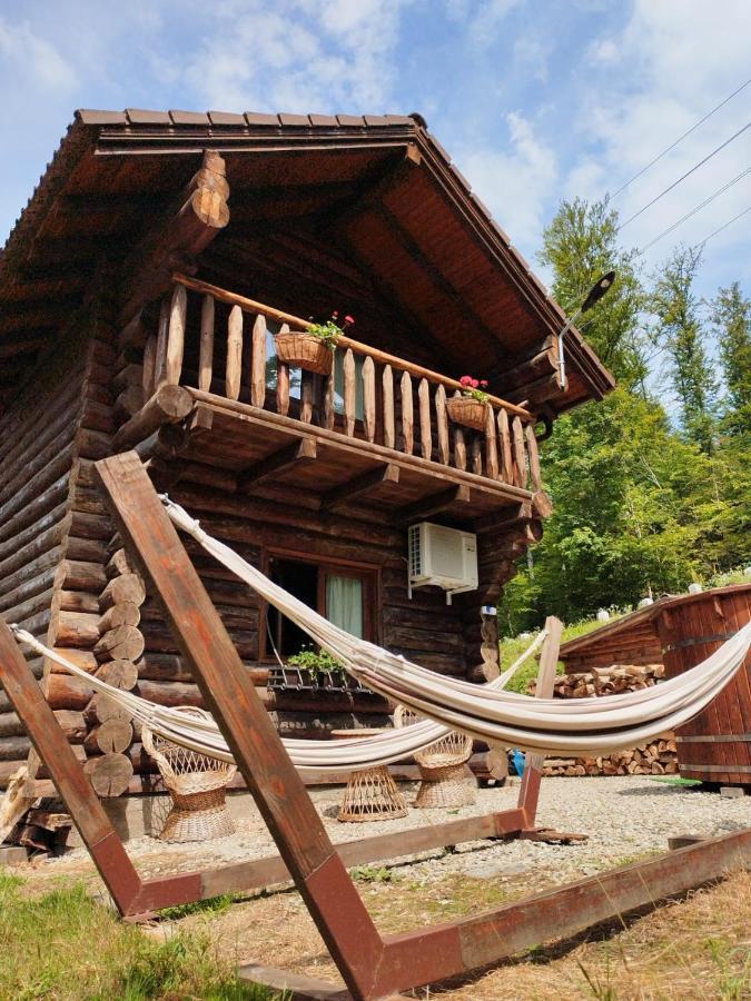 Cabana Rustic Balea Cîrţişoara 外观 照片