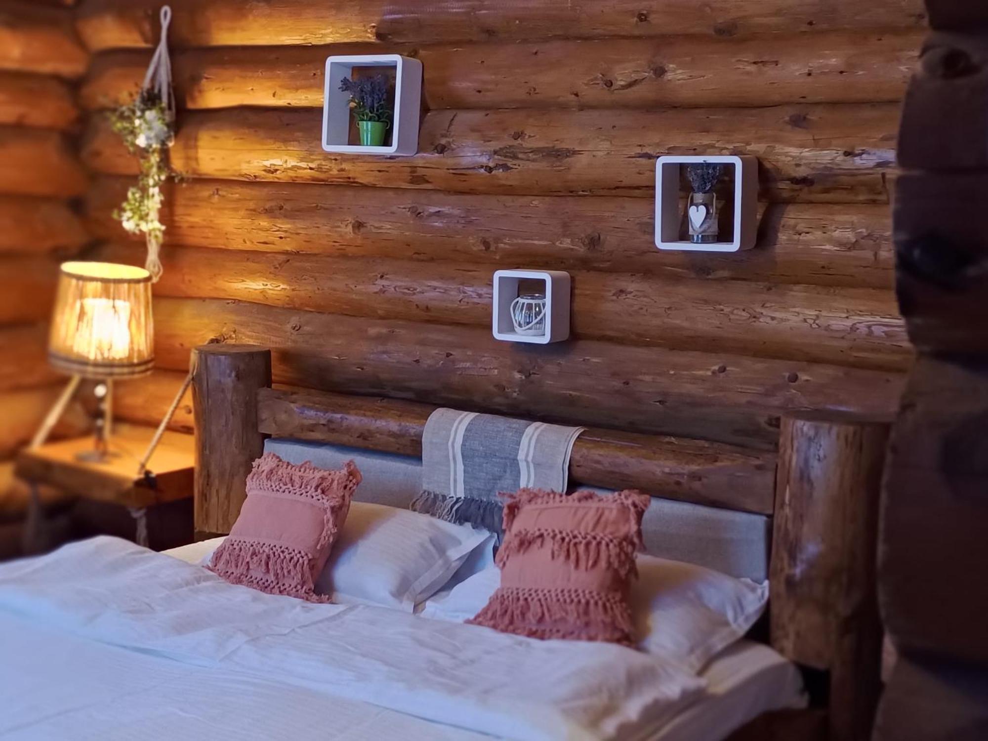 Cabana Rustic Balea Cîrţişoara 外观 照片