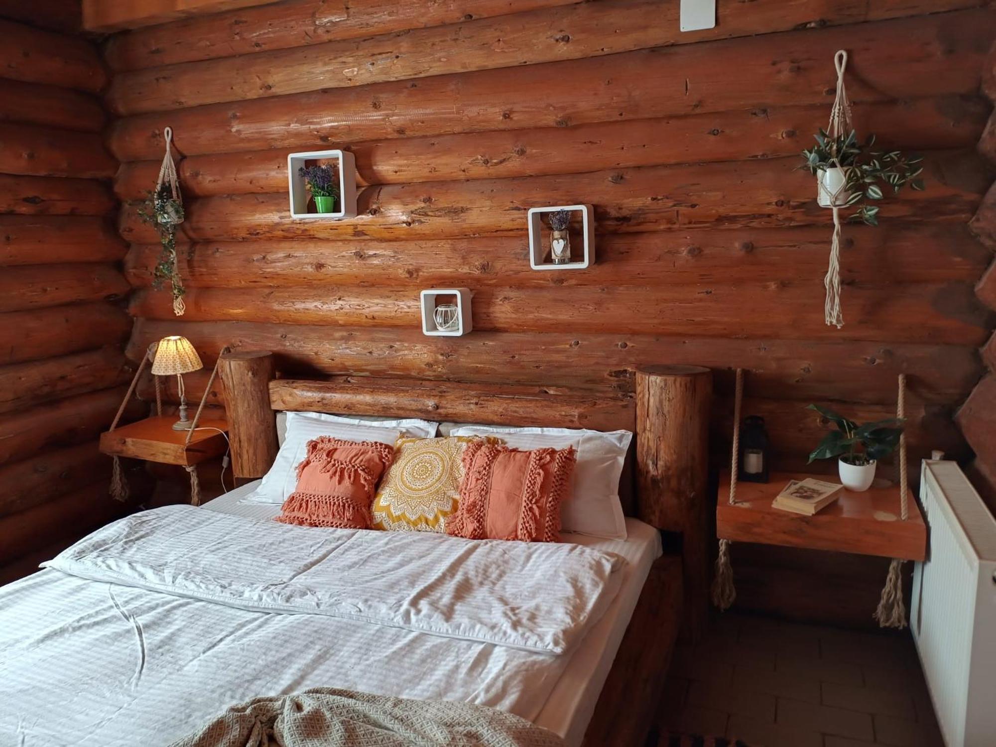 Cabana Rustic Balea Cîrţişoara 外观 照片
