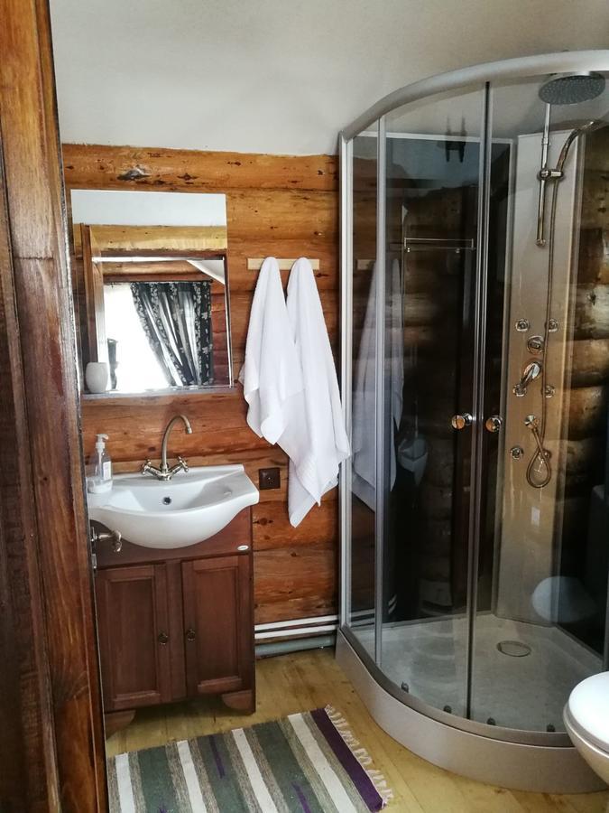 Cabana Rustic Balea Cîrţişoara 外观 照片
