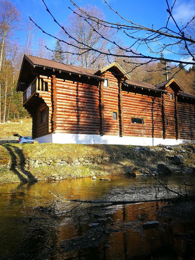 Cabana Rustic Balea Cîrţişoara 外观 照片