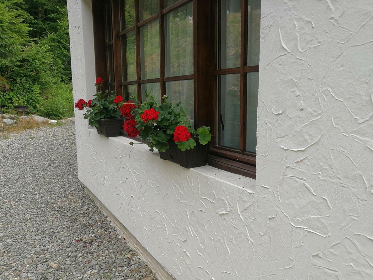 Cabana Rustic Balea Cîrţişoara 外观 照片