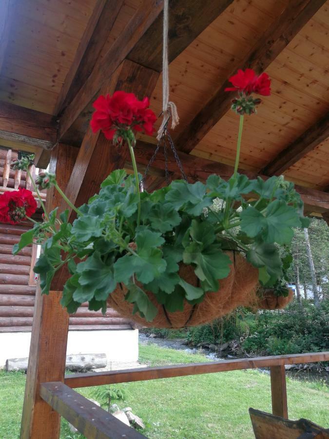 Cabana Rustic Balea Cîrţişoara 外观 照片