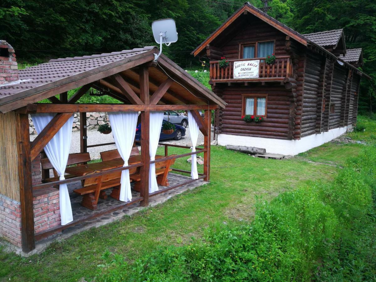 Cabana Rustic Balea Cîrţişoara 外观 照片