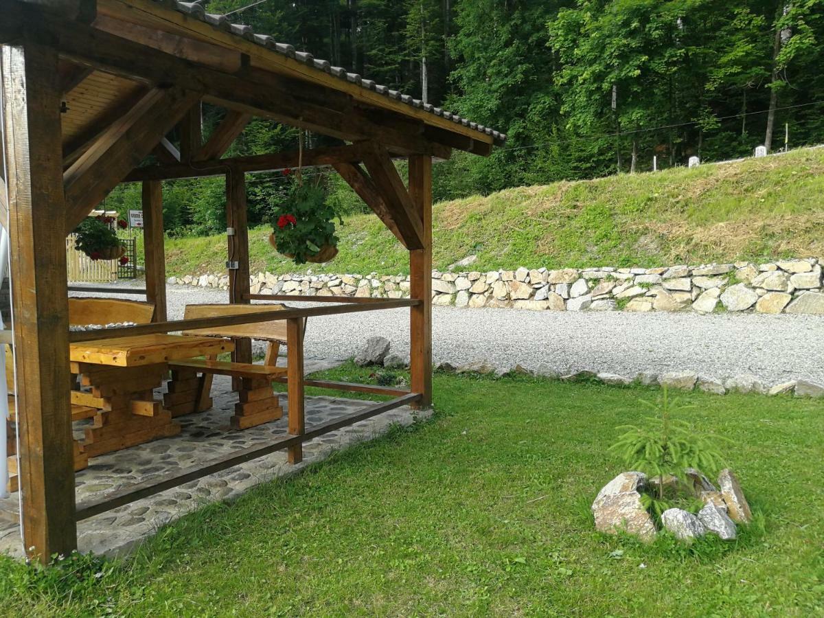 Cabana Rustic Balea Cîrţişoara 外观 照片