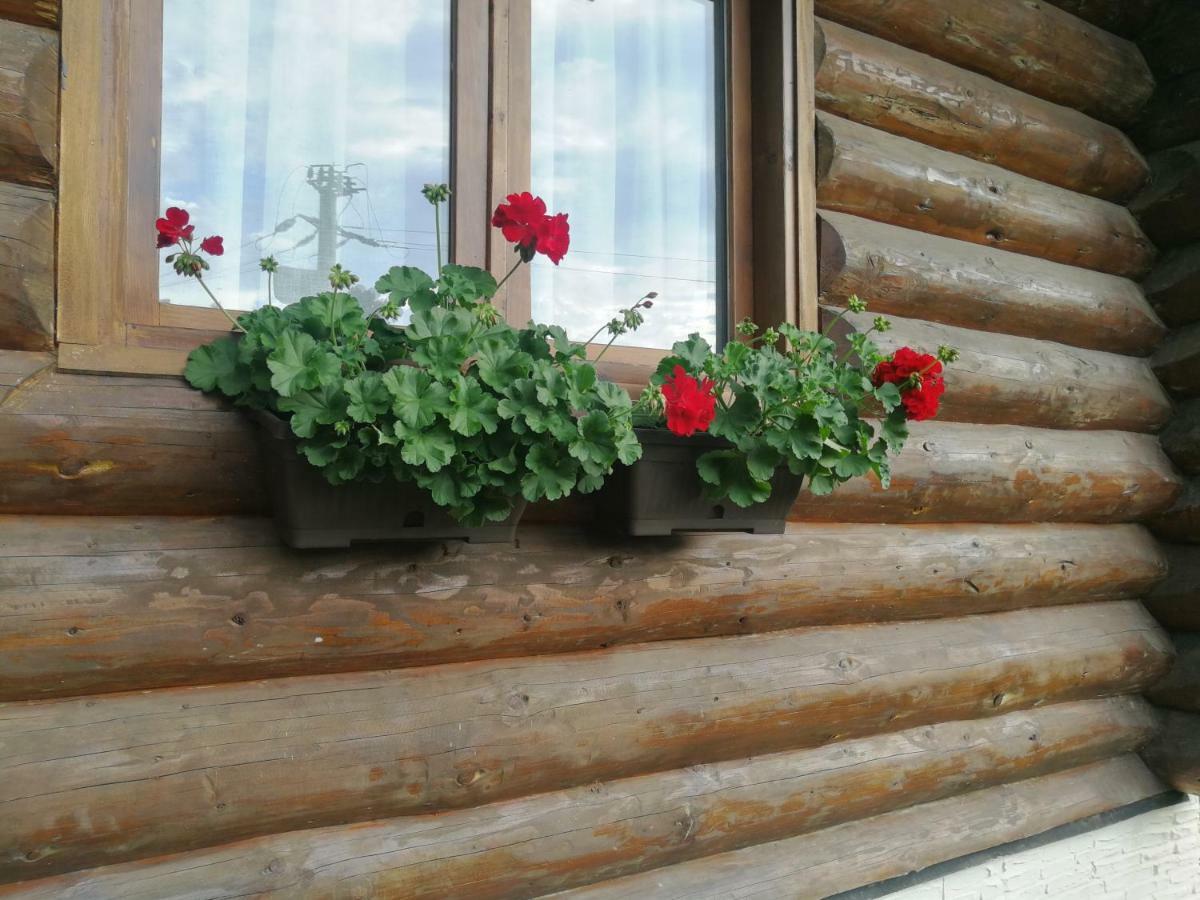 Cabana Rustic Balea Cîrţişoara 外观 照片